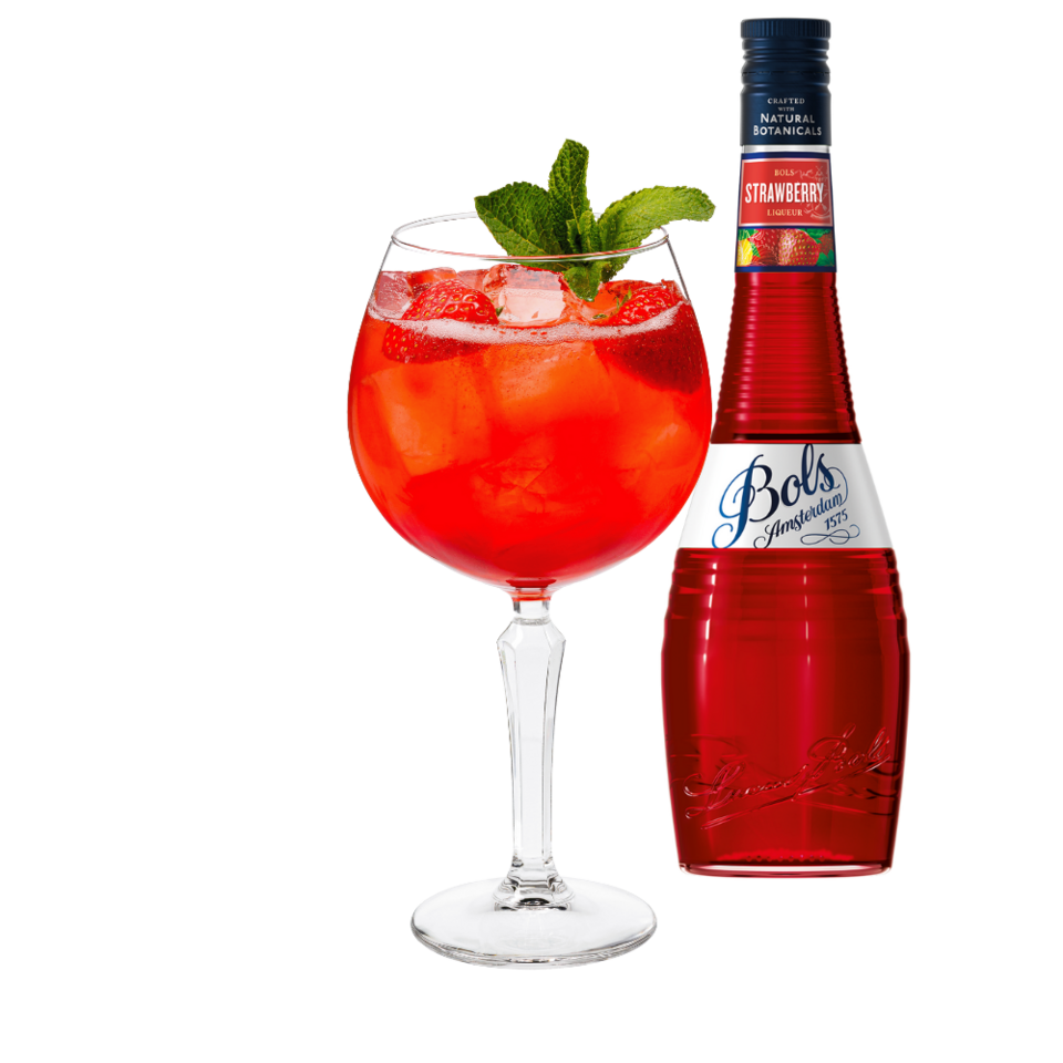Bols Amsterdam 1575 Liqueur 6x700ml 17%