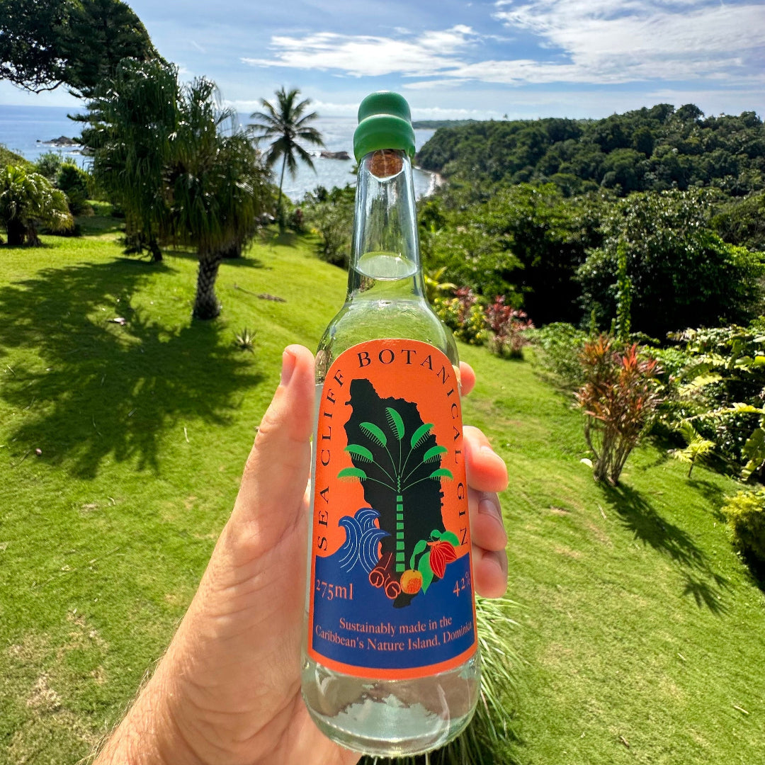 Bottle of Botanica drink held in front of a scenic landscape with trees and blue sky.
