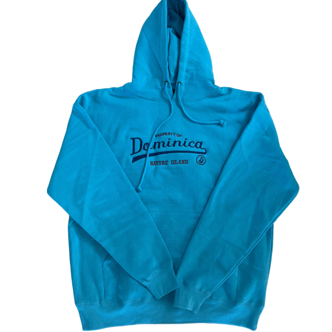 Blue hoodie with text 