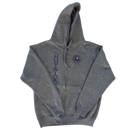 Gray hooded sweatshirt with brand logo 